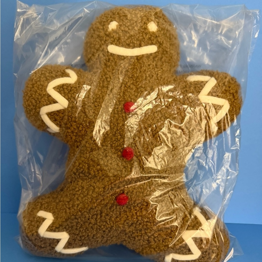 Pottery Barn Mr Spice Gingerbread pillow New in plastic - Picture 4 of 6